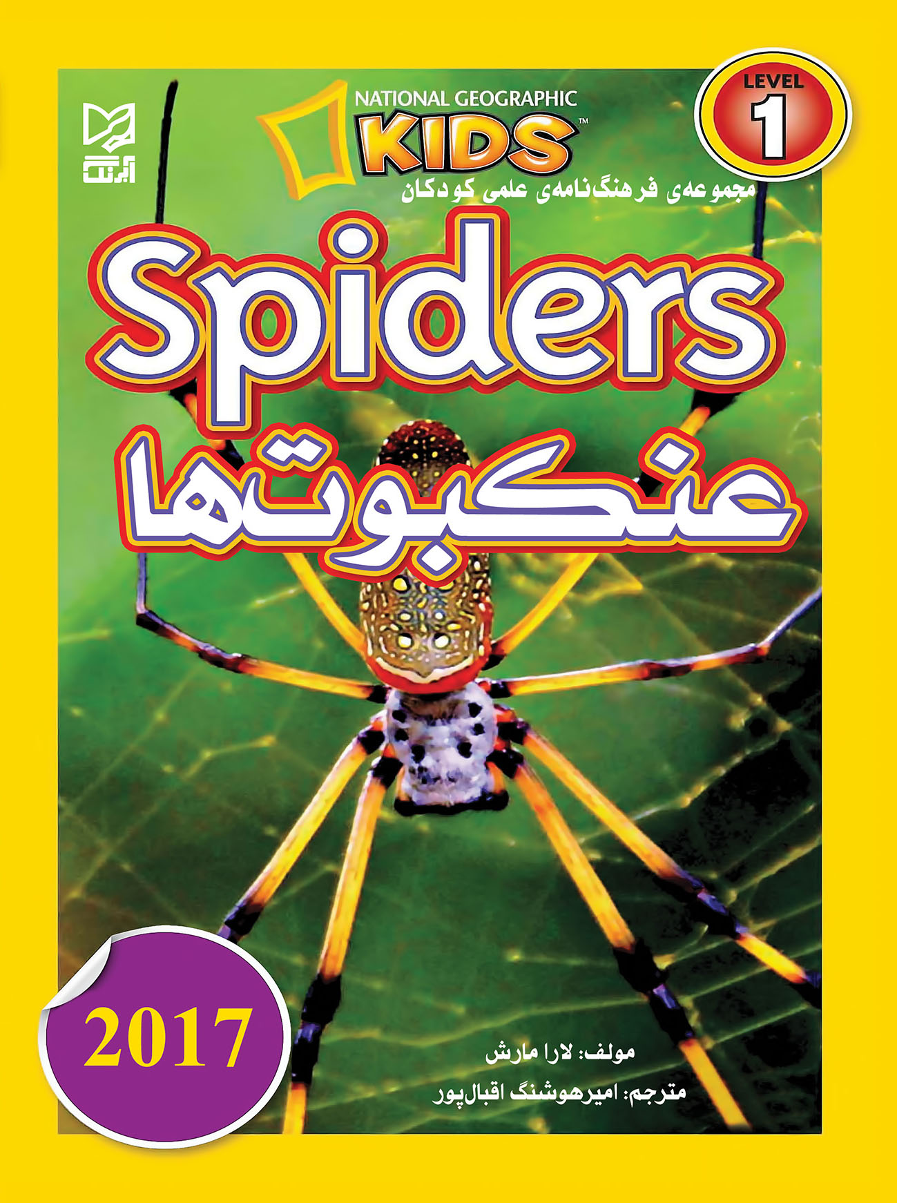 عنکبوت‌ها | شبکه دانی